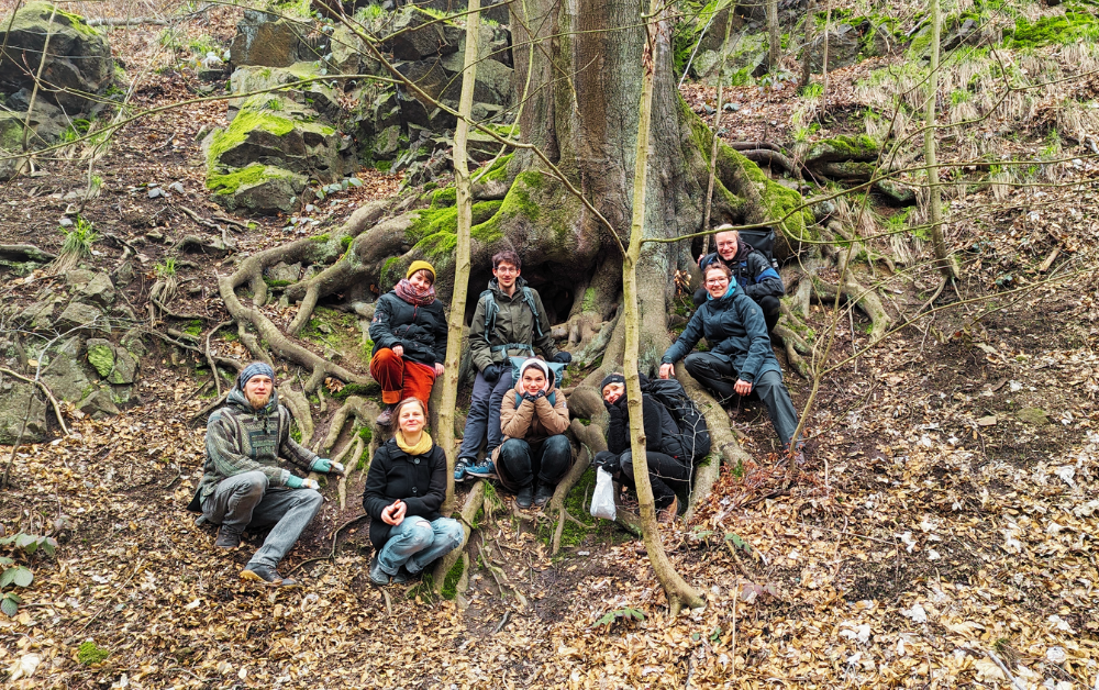 8 Menschen sitzen auf einer Erhöhung. Drumherum Wureln und ein Baumstamm