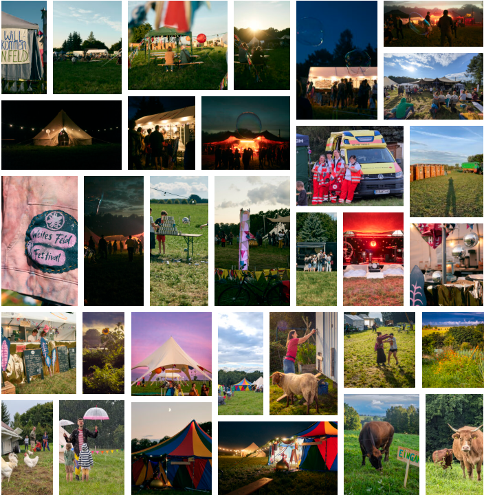 Fotogalerie Weites Feld Festival 2025